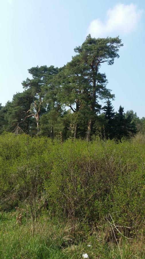 Lütt Verbliev Malchow  Exterior foto
